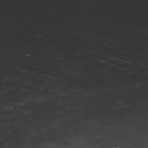 Meet your Posher, Alana